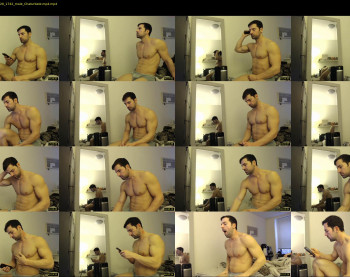 therealkingyoshi