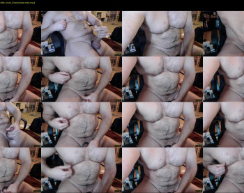 jimbeefbear