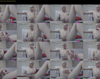 bradley_herme