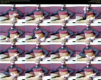 kingcat82