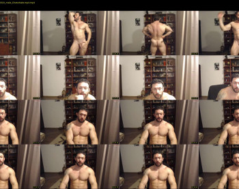stevebulkzor
