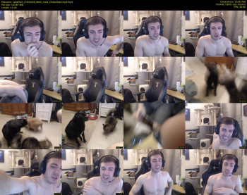 sydaffect