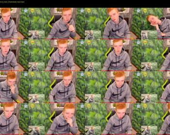 tomas_guy_