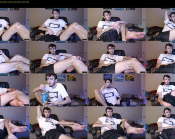 sexual_vibrations