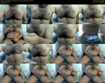 alexlatinbear