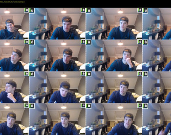 kane_falcon