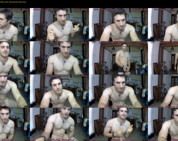 osito_blanco
