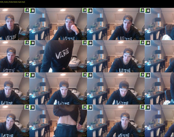 kane_falcon
