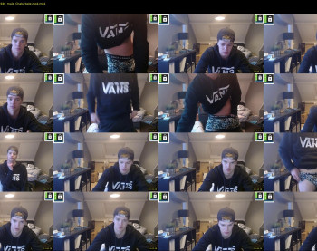 kane_falcon