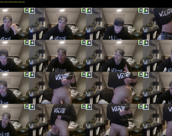 kane_falcon