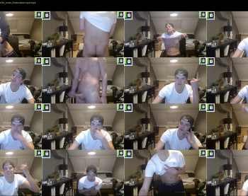 kane_falcon