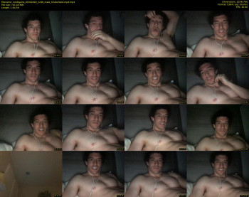 noobgains