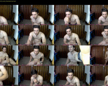 osito_blanco