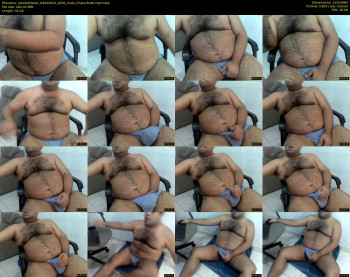 alexlatinbear