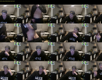 kane_falcon