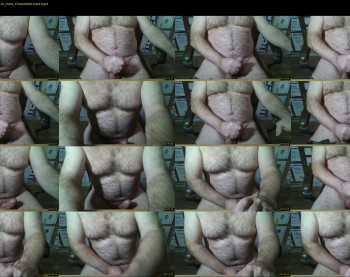 furrybear2