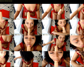 catt_angel