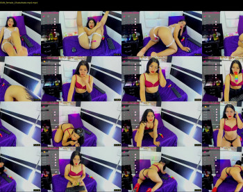 hollypocket_