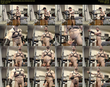 maximus_787