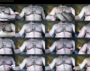 bearjocknwdc