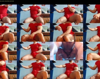 bigstallone