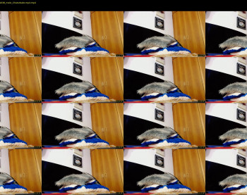 dick_andrew