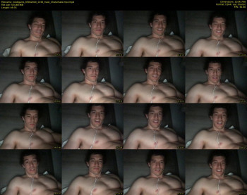 noobgains