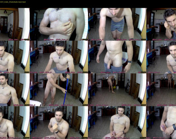 osito_blanco