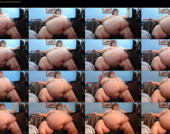 rayfj40