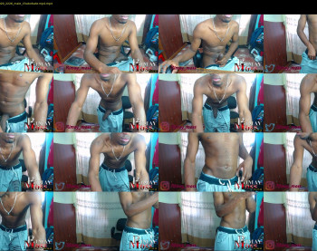 rimay_moss2017