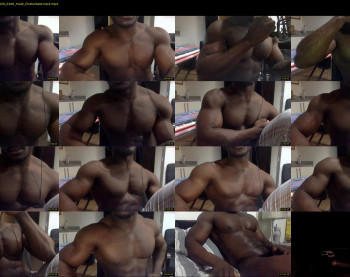 blackgeminidude