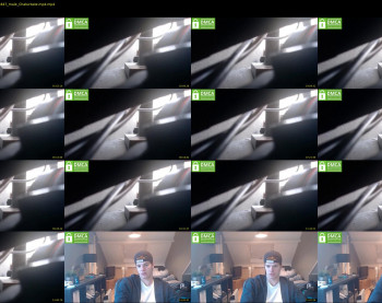 kane_falcon
