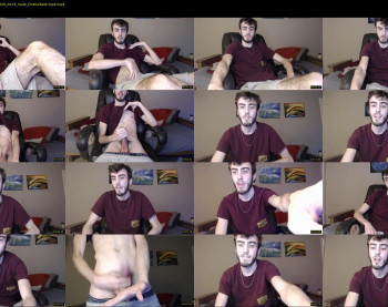 sexual_vibrations