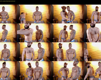 savage_studs