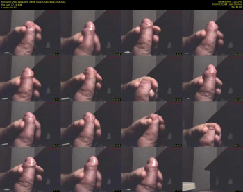 z1g