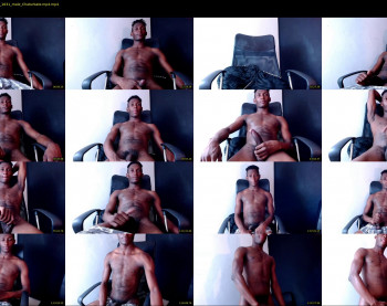 betohan_cock