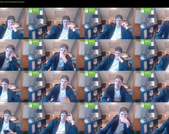 kane_falcon