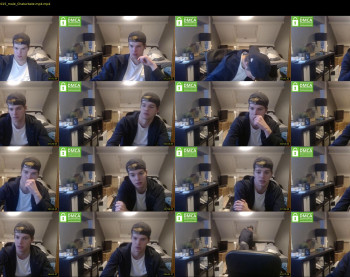 kane_falcon