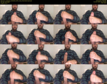 noodholly
