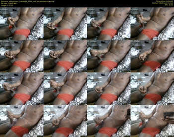 wifepleaserr