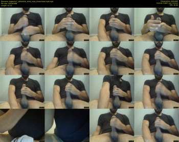 bigbicho7