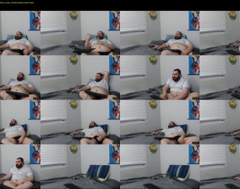bearshuffle