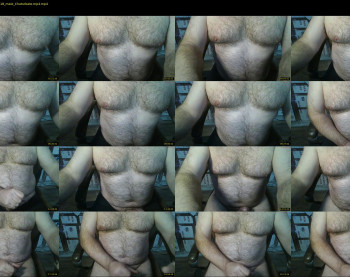 furrybear2