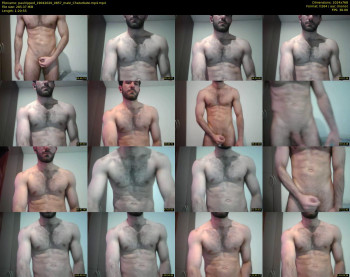 paulripped