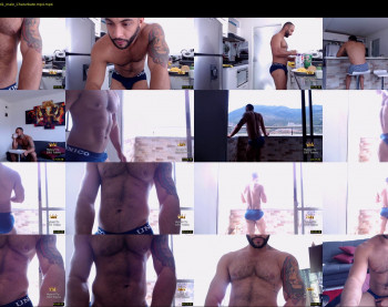 thiago_fox