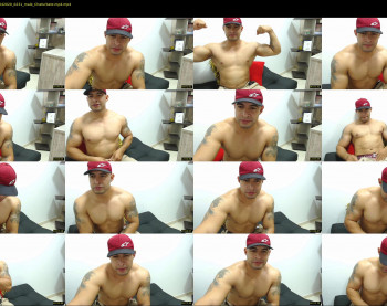 megaman_megadick