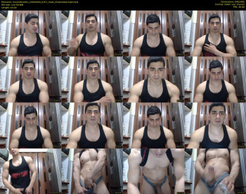 musclebredon