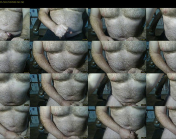 furrybear2