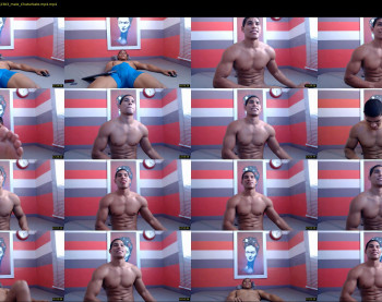 teddyfit19cm