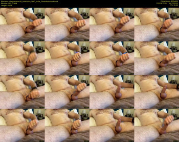 shaynestorm45